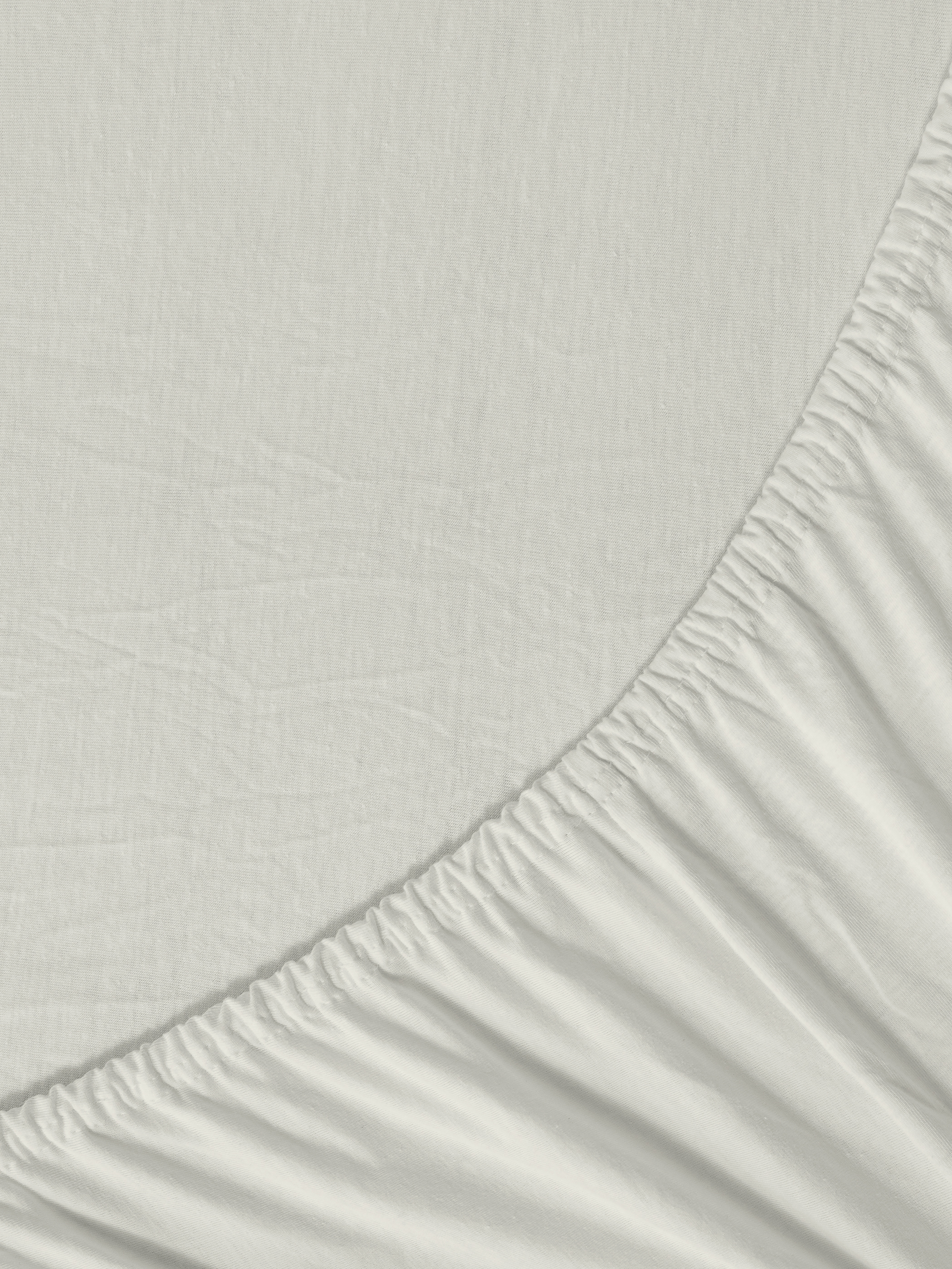 Σεντόνι Μονό με Λάστιχο - Tender Oat Beige